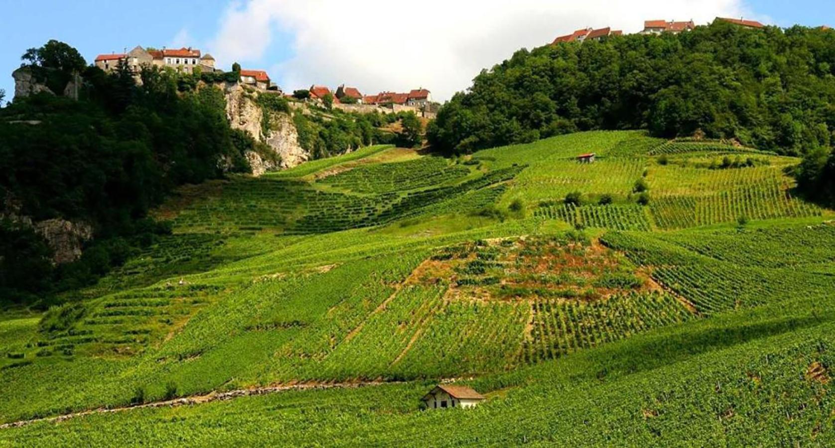 Maison Chaleureuse Au Coeur Du Massif Jurassien Saint-Pierre (Jura)